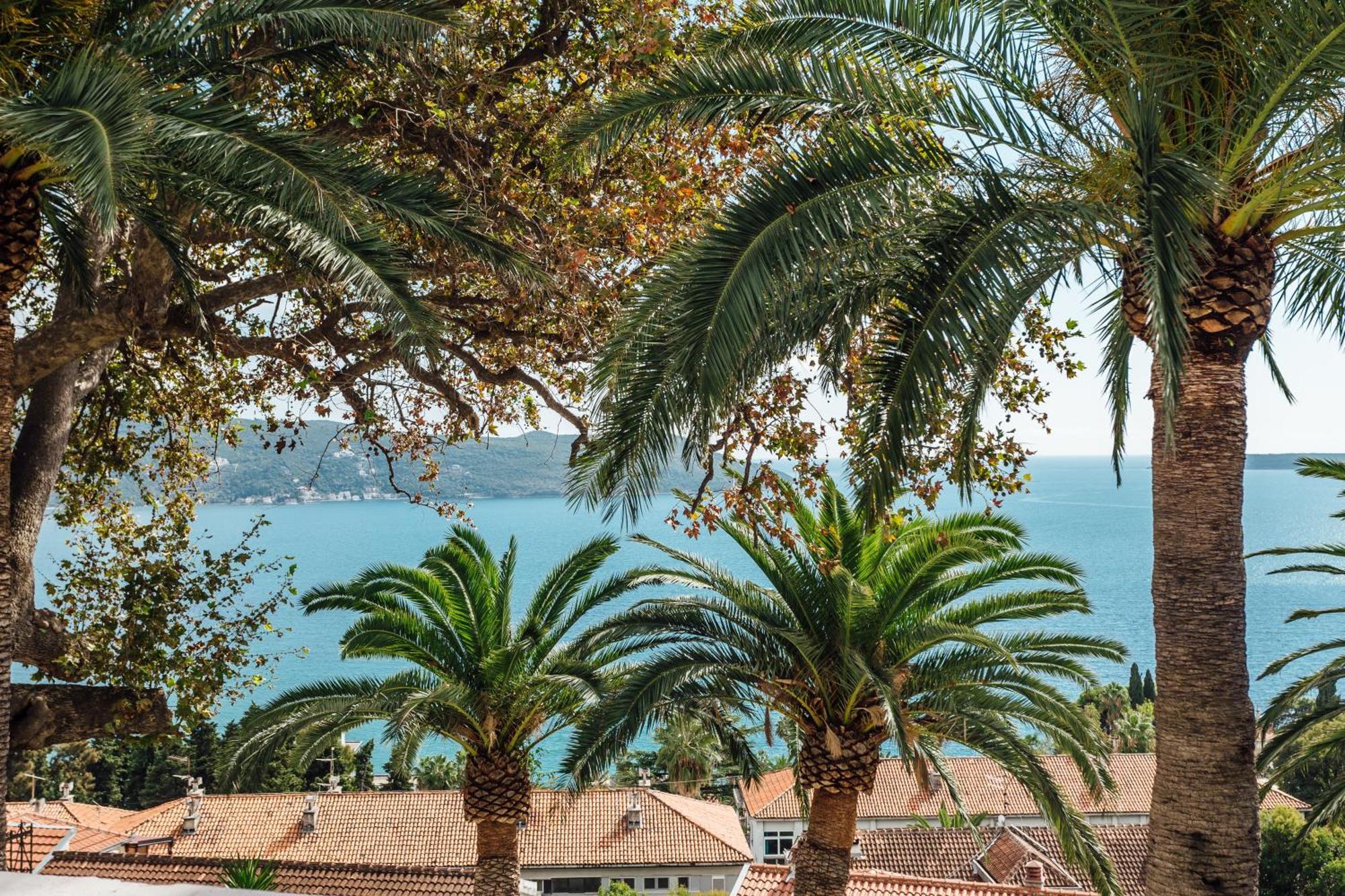 Apartments Belvedere Herceg Novi Chambre photo